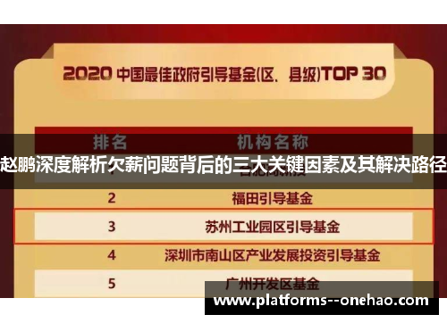 赵鹏深度解析欠薪问题背后的三大关键因素及其解决路径 赵鹏深度解析欠薪问题背后的三大关键因素及其解决路径