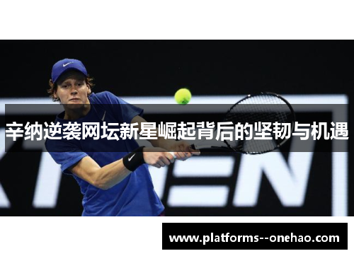 辛纳逆袭网坛新星崛起背后的坚韧与机遇