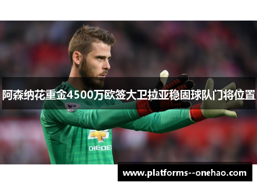 阿森纳花重金4500万欧签大卫拉亚稳固球队门将位置