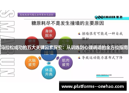 马拉松成功的五大关键因素探索：从训练到心理调适的全方位指南